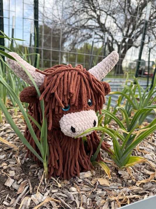 SPECIAL ORDER Highland Cow